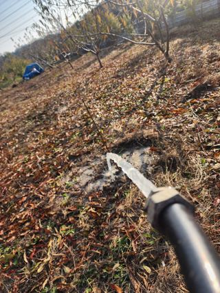박병한님의 복숭아 · 영농일지 작성글 사진