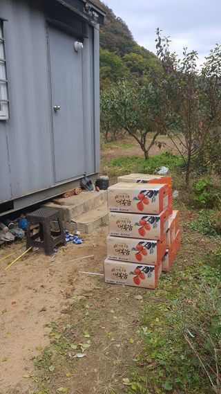 홍광희님의 기타작물 · 영농일지 작성글 사진