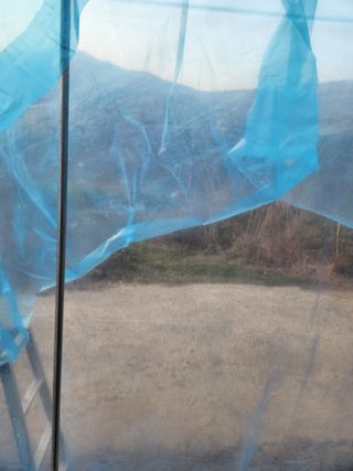 김영숙님의 기타작물 · 영농일지 작성글 사진