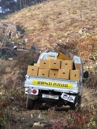 엉뚱님의 기타작물 · 영농일지 작성글 사진