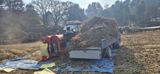 김무진님의 기타작물 · 영농일지 작성글 사진