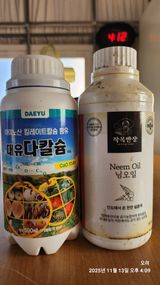 팜모닝 기타작물·영농일지 게시글 이미지