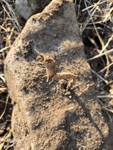 팜모닝 기타작물·영농일지 게시글 이미지