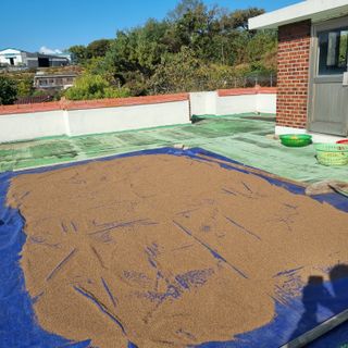 권오택님의 기타작물 · 영농일지 작성글 사진