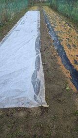 팜모닝 기타작물·영농일지 게시글 이미지