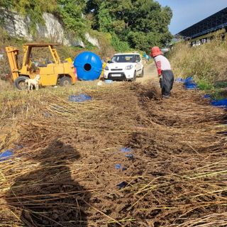 권오택님의 기타작물 · 영농일지 작성글 사진