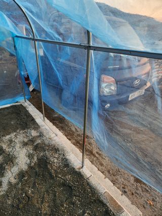 김영숙님의 기타작물 · 영농일지 작성글 사진