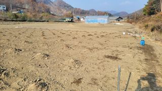 김홍중님의 두릅 · 영농일지 작성글 사진