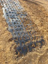 정병학님의 작성글 사진