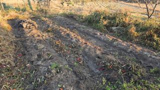 가야산아래촌농님의 기타작물 · 영농일지 작성글 사진