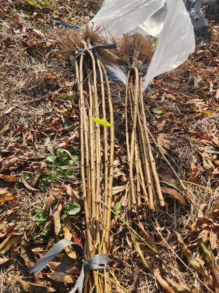박병한님의 복숭아 · 영농일지 작성글 사진