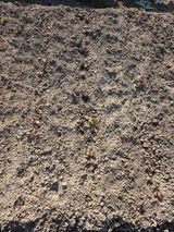 팜모닝 상추·영농일지 게시글 이미지