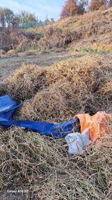 팜모닝 기타작물·영농일지 게시글 이미지