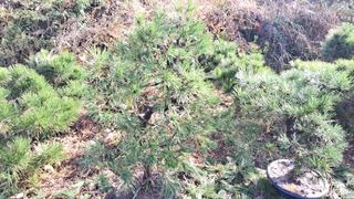 이정운님의 기타작물 · 영농일지 작성글 사진