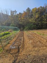 팜모닝 기타작물·영농일지 게시글 이미지