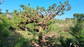 이정운님의 기타작물 · 영농일지 작성글 사진