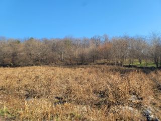 신승철님의 콩 · 영농일지 작성글 사진