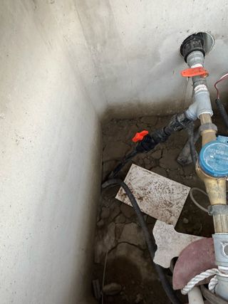 이익수님의 기타작물 · 영농일지 작성글 사진