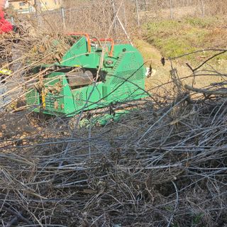 이주환님의 기타작물 · 영농일지 작성글 사진