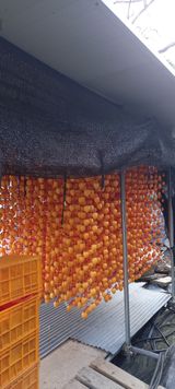 팜모닝 기타작물·영농일지 게시글 이미지