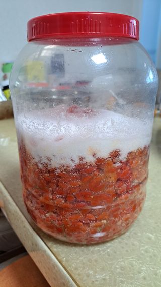 주윤발이님의 기타작물 · 영농일지 작성글 사진