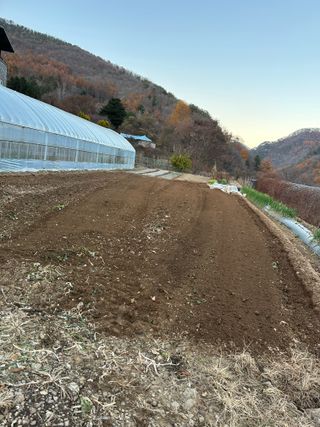 이익수님의 기타작물 · 영농일지 작성글 사진