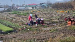 백보승님의 기타작물 · 영농일지 작성글 사진