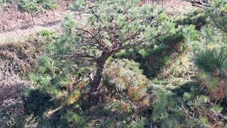 이정운님의 기타작물 · 영농일지 작성글 사진