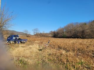 신승철님의 콩 · 영농일지 작성글 사진