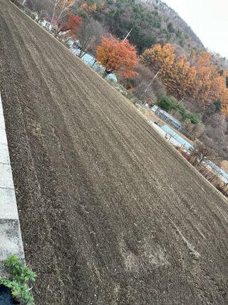 이익수님의 기타작물 · 영농일지 작성글 사진