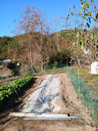 향양농장 사랑합니다님의 기타작물 · 영농일지 작성글 사진