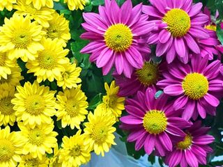 이미옥님의 벼 · 영농일지 작성글 사진