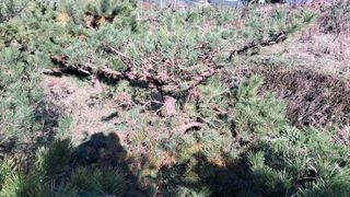 이정운님의 기타작물 · 영농일지 작성글 사진