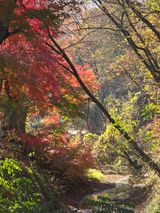 팜모닝 벼·영농일지 게시글 이미지