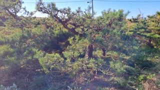 이정운님의 기타작물 · 영농일지 작성글 사진