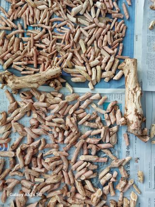 손길준님의 기타작물 · 영농일지 작성글 사진