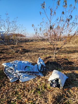 박병한님의 복숭아 · 영농일지 작성글 사진