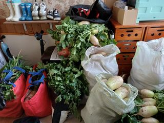 김진현님의 기타작물 · 영농일지 작성글 사진