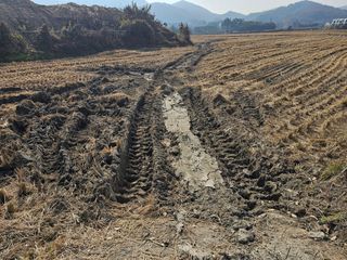 넥스젠님의 벼 · 영농일지 작성글 사진