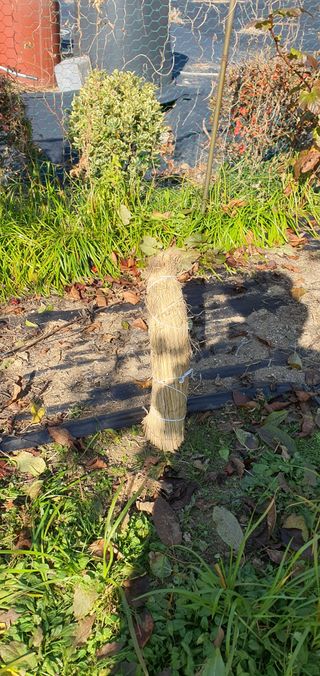 김성태님의 기타작물 · 영농일지 작성글 사진