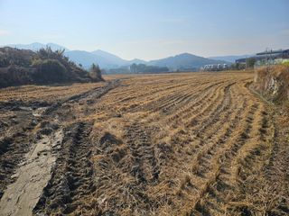 넥스젠님의 벼 · 영농일지 작성글 사진