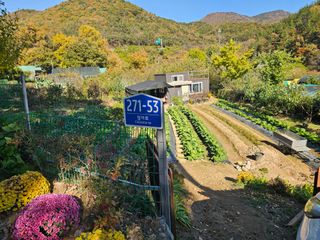 연모 자연의행복님의 기타작물 · 영농일지 작성글 사진
