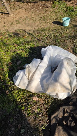 가야산아래촌농님의 기타작물 · 영농일지 작성글 사진