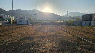 장정규님의 기타작물 · 영농일지 작성글 사진