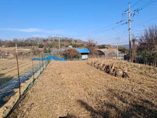 권병☆님의 콩 · 영농일지 작성글 사진