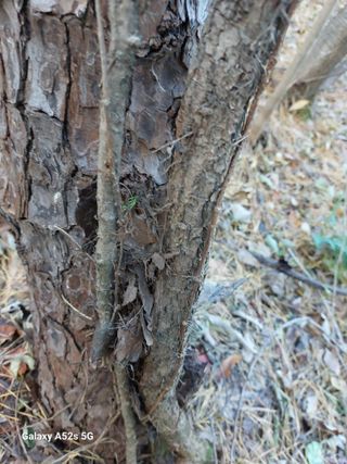 손길준님의 기타작물 · 영농일지 작성글 사진