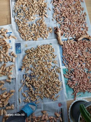 손길준님의 기타작물 · 영농일지 작성글 사진