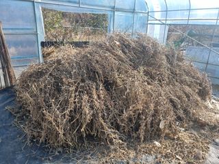 원인호님의 콩 · 영농일지 작성글 사진