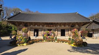 대박농장신초시님의 기타작물 · 영농일지 작성글 사진