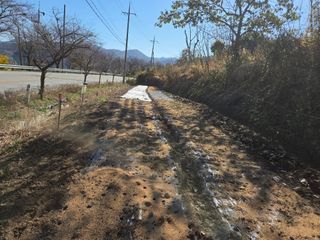 思農(sanong)님의 마늘 · 영농일지 작성글 사진